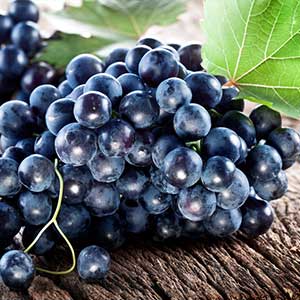 Ampelografia del Nero d'Avola