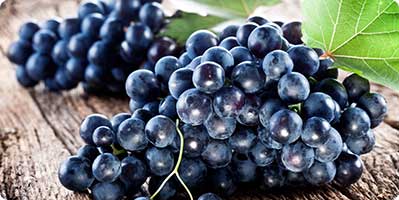 Nero d'Avola - vitigno da uve rosse italiane Nero d'Avola - vitigno da uve rosse italiane